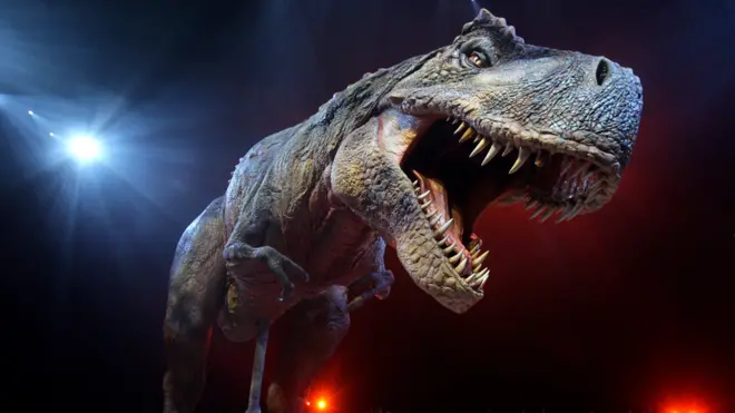 Tyrannosaurus rex model
