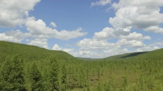 Дальний Восток