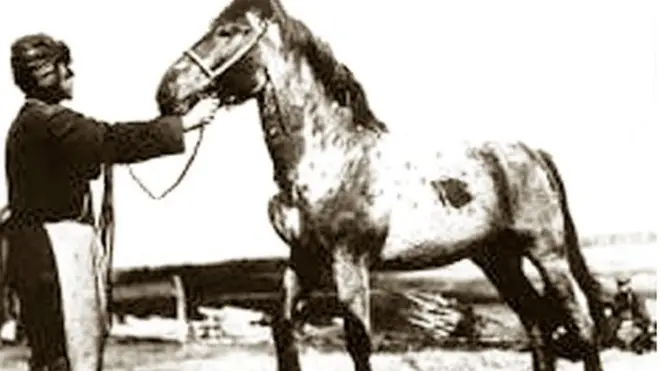 Колгоспники Горьківського краю, що в Росії, не надто поспішали переселятися до Одеської області, осінь 1933 року