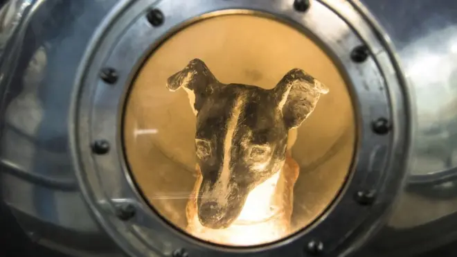 Ảnh chụp 1/11/2017 cảnh mô hình chó Laika ngồi trong Sputnik II tại Triển lãm Hàng không và Vũ trụ Trung ương tại Moscow