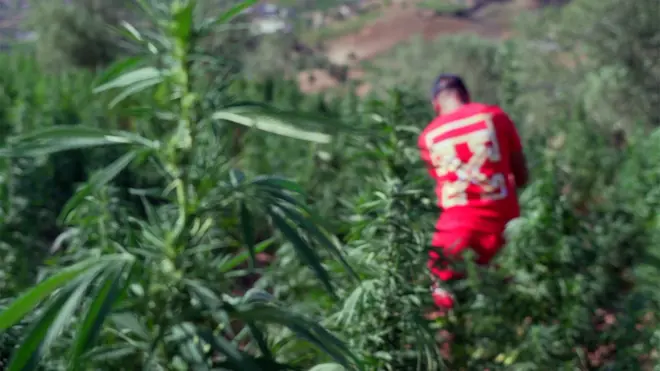 الحشيش في المغرب