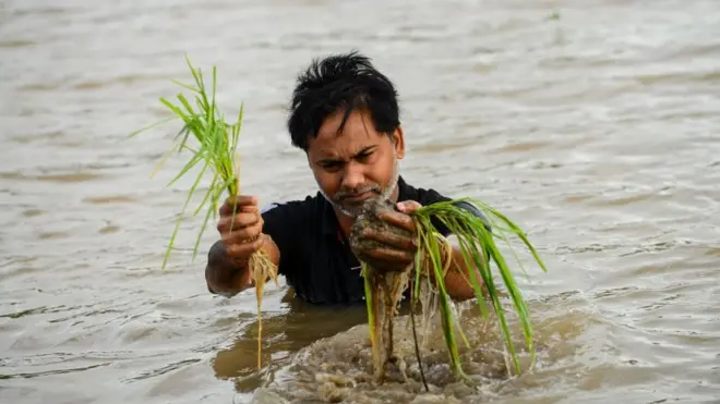 જળબંબાકાર
