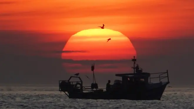 После 21 года споров 164 страны ВТО договорились ограничить субсидии рыбакам, чтобы сохранить ресурсы мирового океана. Но лишь частично и временно