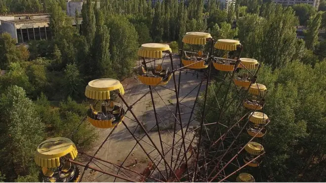 لماذا نجت النباتات من الإشعاع القاتل لتشيرنوبل؟