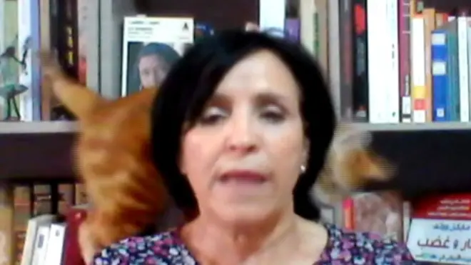 قطة سرقت الأضواء خلال مقابلة مع تلفزيون البي بي سي