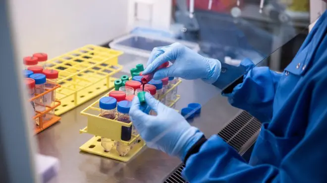 የክትባት ምርምር