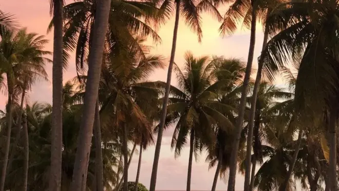 ट्रेवेल, डिस्अप्वाइंटमेंट आइलैंड्स