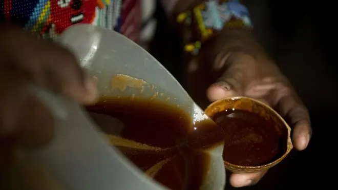 Перуанские шаманы пьют традиционный отвар "аяуаска" для общения с духами