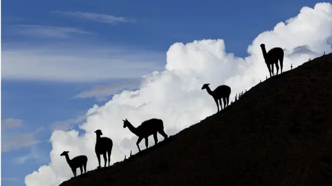 "Jujuy es uno de los lugares más únicos del mundo: me preocupa que ahora se hayan dado cuenta", asegura el escritor argentino Martín Caparrós.