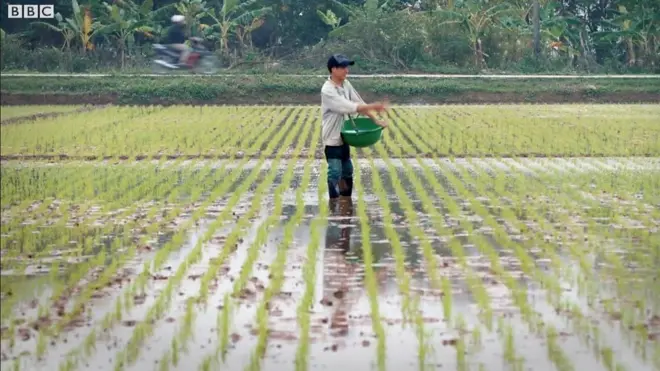 Nông dân Việt Nam