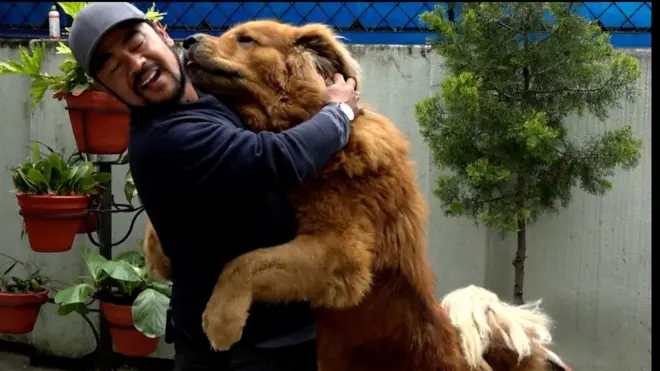 संसारकै महँगो जातको कुकुर