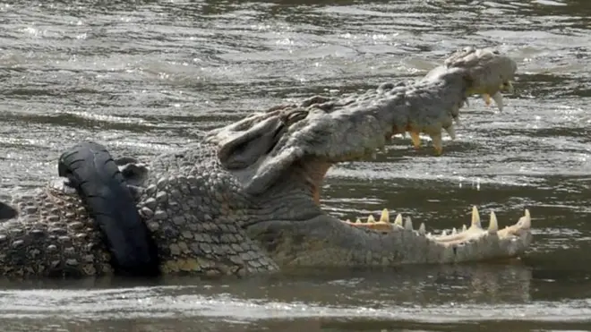 علق إطار دراجة نارية حول رقبته لمدة ست سنوات تقريبًا.