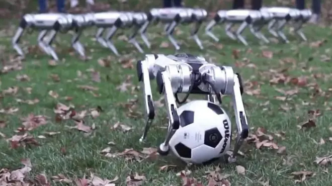 이것은 치타인가 로봇인가