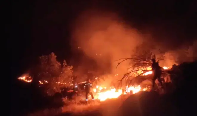 ادامه آتش‌سوزی در جنگل‌های زاگرس فارس