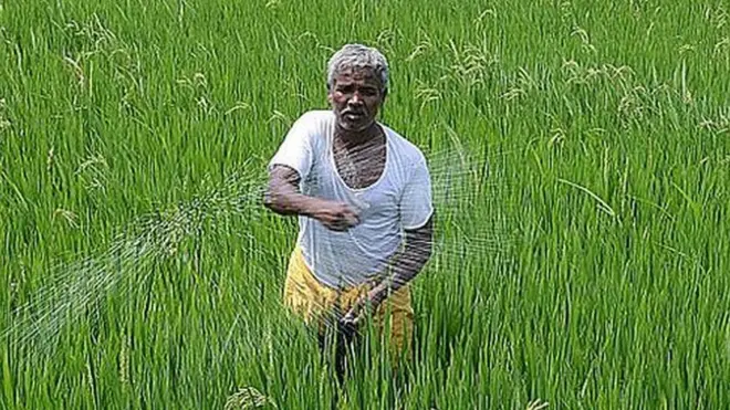 వ్యవసాయం