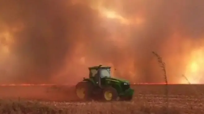 अमेजन रेनफरेस्ट