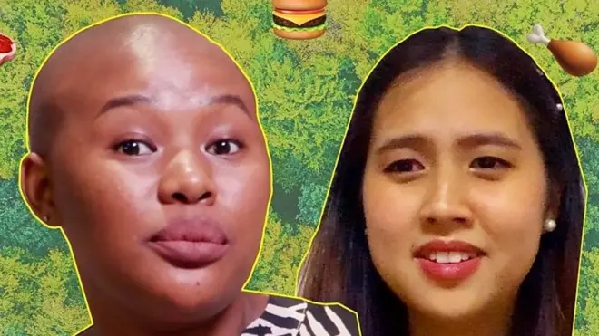 Meso iz laboratorije