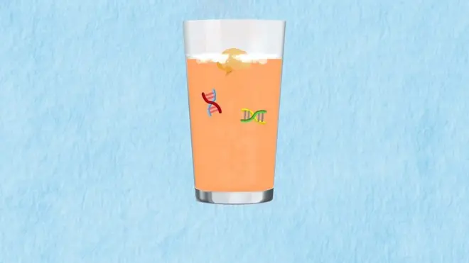 Алкоголь может повредить ДНК.