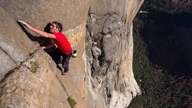 الکس هانولد