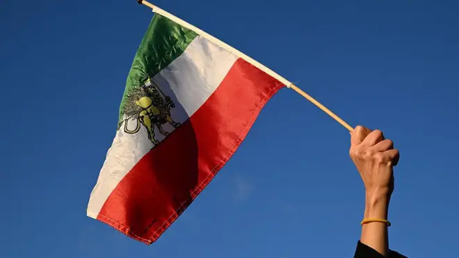 Протестующий размахивает иранским флагом, использовавшимся до исламской революции 1979 года, во время демонстрации против репрессий иранского режима в отношении протестующих в центре Парижа, 4 января 2026 года.