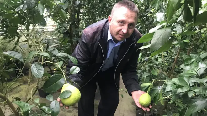 Олександр Шевчук облаштував "тропічну ферму" у себе на городі на Вінничині