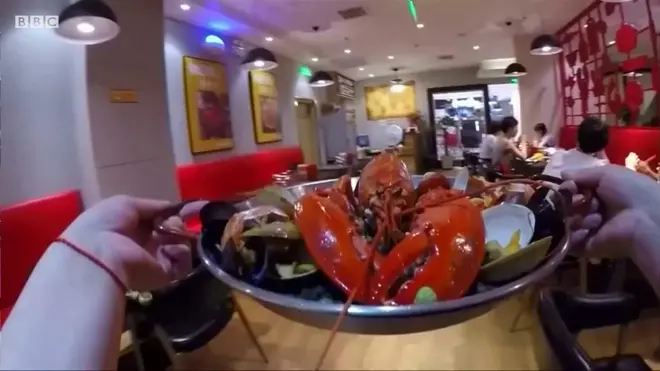 లాబ్‌స్టర్స్ గుల్లలతో ప్లాస్టిక్ తయారీ