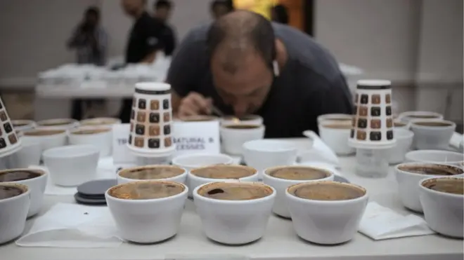 Một giám khảo đánh giá cà phê tham gia cuộc thi 'The Best of Panama'