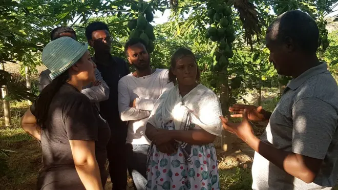 ሓረስተይቲ ሃረጉ ኣብ ናይ ሕርሻ ቦትኣ