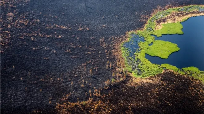 พื้นที่ป่า Gorny Ulus ในเขตไซบีเรียไหม้เกรียม หลังไฟป่าลุกลามเป็นบริเวณกว้าง