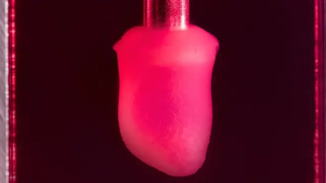 corazón en miniatura