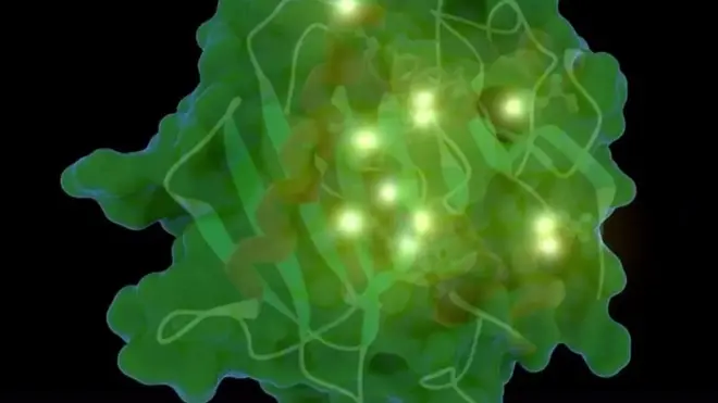 العلماء يتوصلون إلى انتاج إنزيم يمكنه التهام المواد البلاستيكية