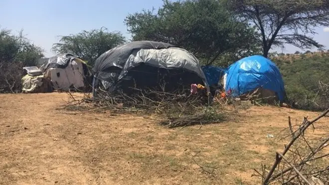 ቻሙክ ካብ ዝበሃል ቀበሌ ዝተመዛበሉ ካብ ላስቲኽ ዝሰርሕዎም ገዛውቲ።