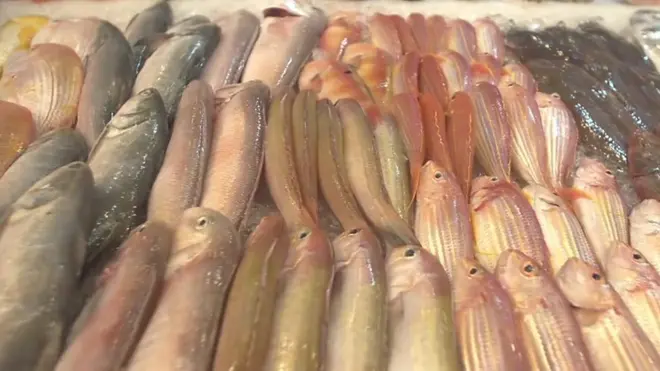 हांग कांग