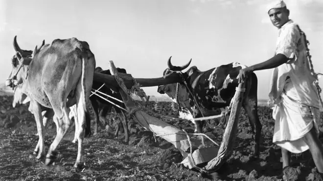 सांकेतिक तस्वीर