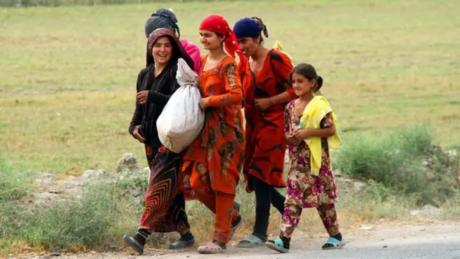 Девушки в поле