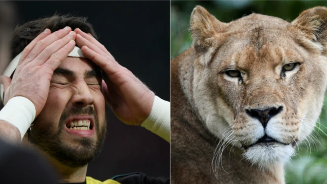 سکاٹ بالڈوِن