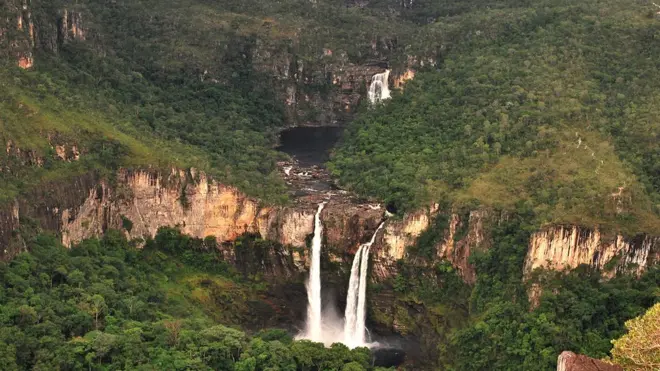 Plantas do cerrado atuam como uma imensa esponja, recarregando aquíferos que abastecem rios e reservatórios