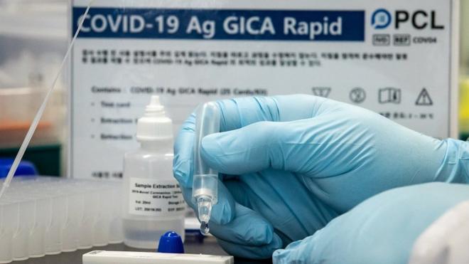 피씨엘(PCL) 중앙연구소에서 연구원이 10분 내 감염 내부를 진단할 수 있는 코로나19 항원 간편진단키트(COVID-19 Ag GICA Rapid)를 시험하고 있다
