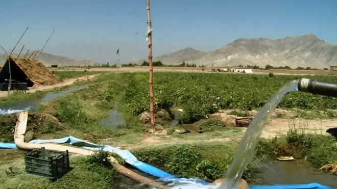 د شمېرو له مخې ۸۰ سلنه افغانان په کرکيلې او مالدارۍ بوخت دي