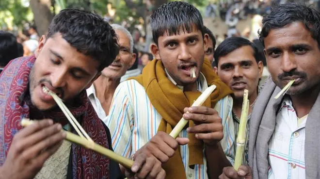 చెరకు గడలు