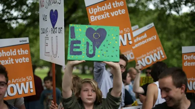 Демонстранты "за" и "против" выхода из ЕС