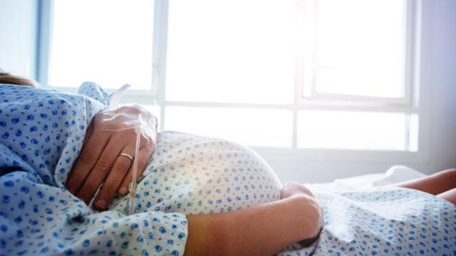 Grávida0.5 bethospital