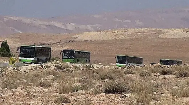 بااصات تقل مسلحين من جرود عرسال