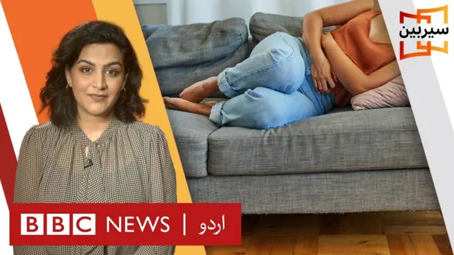 بی بی سی سیربین