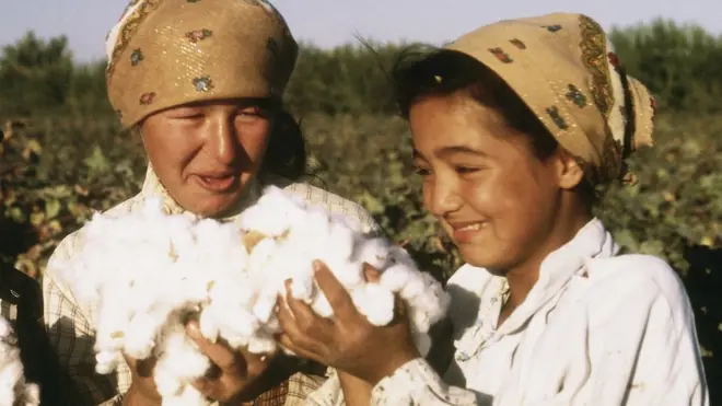 Кам таъминланган оилалар фарзандлари учун пахта терими қўшимча даромад олиш имкониятини беради