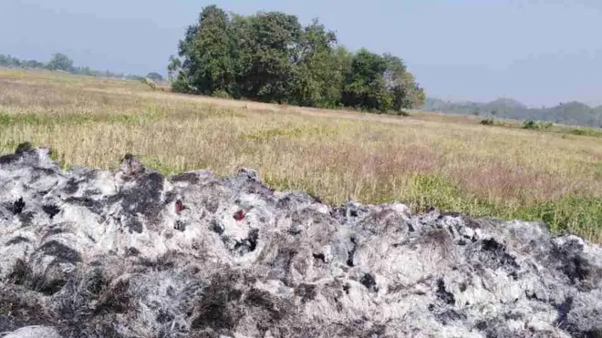 မင်းပြား