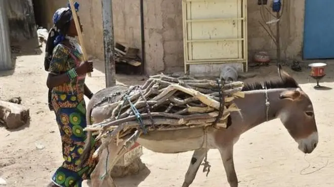 Indogobwe ntizisanzwe zimenyerewe mu Burundi
