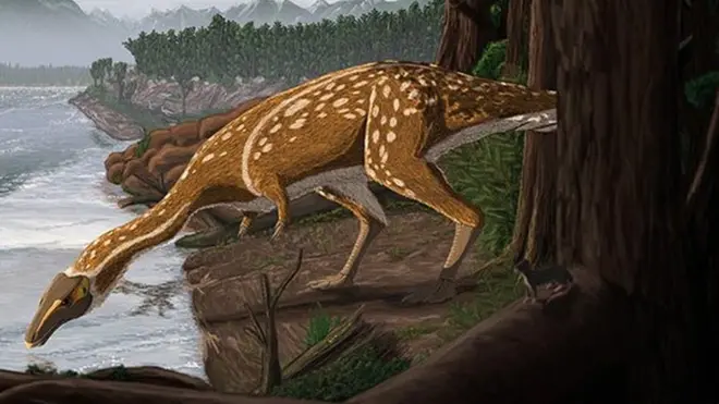 The elaphrosaur had an unusually long neck and short, stumpy arms