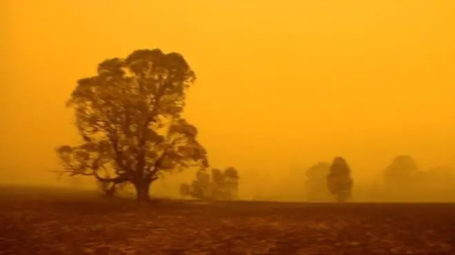 Австралия в огне