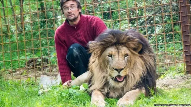 माइकल प्रासेक, शेर